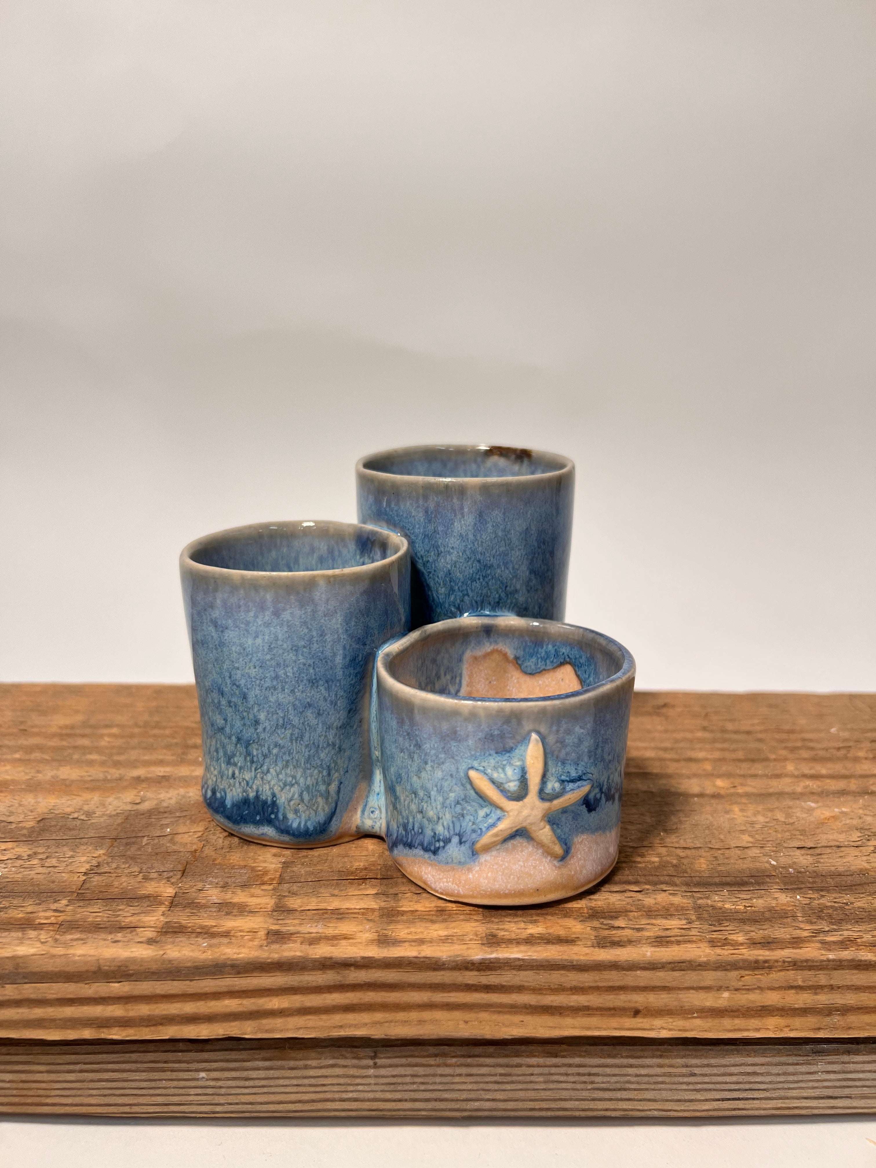 Organizer | Starfish Ocean Blue