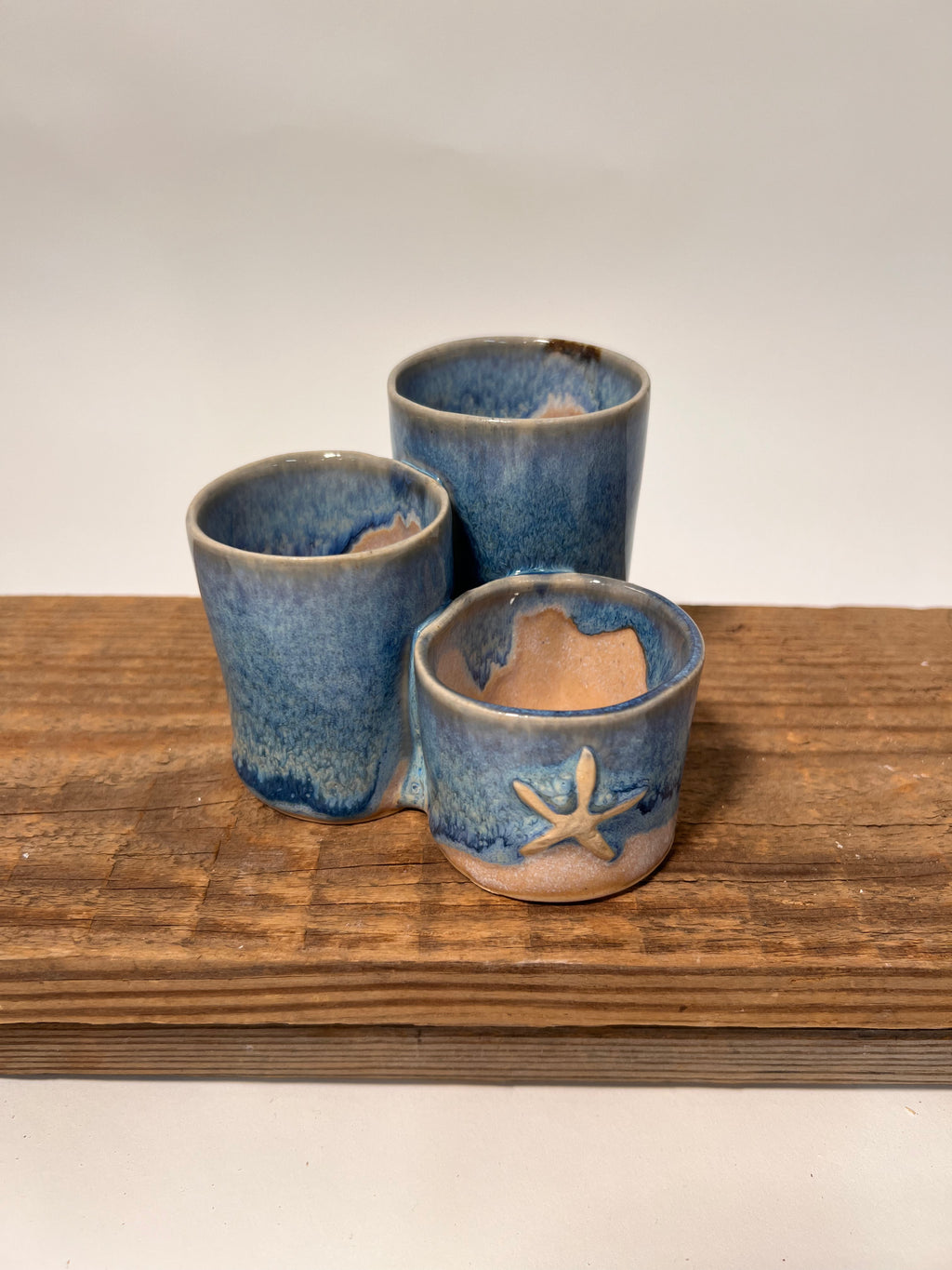 Organizer | Starfish Ocean Blue