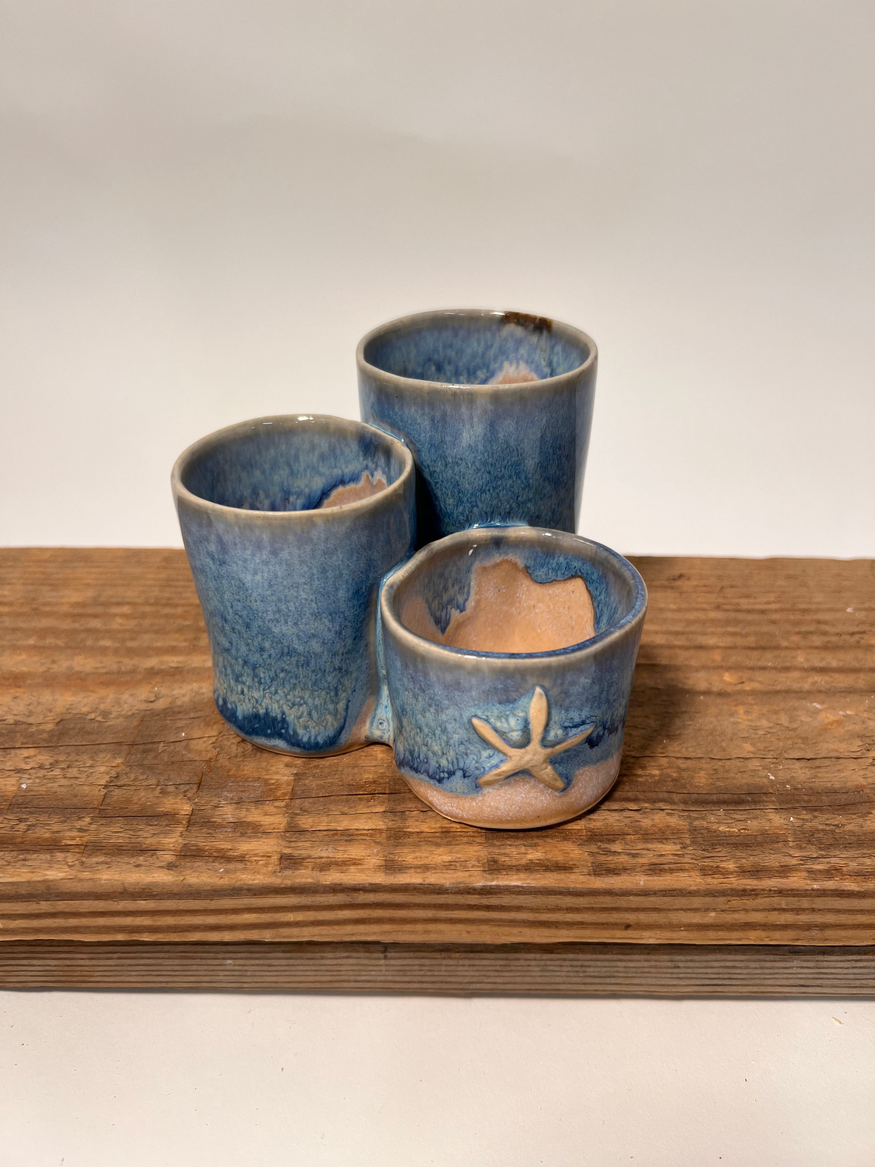 Organizer | Starfish Ocean Blue