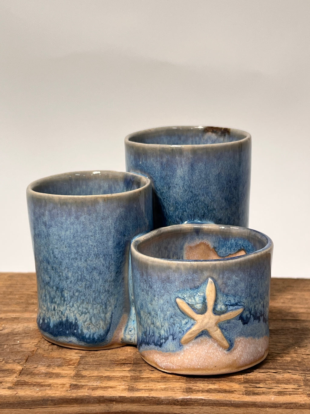 Organizer | Starfish Ocean Blue